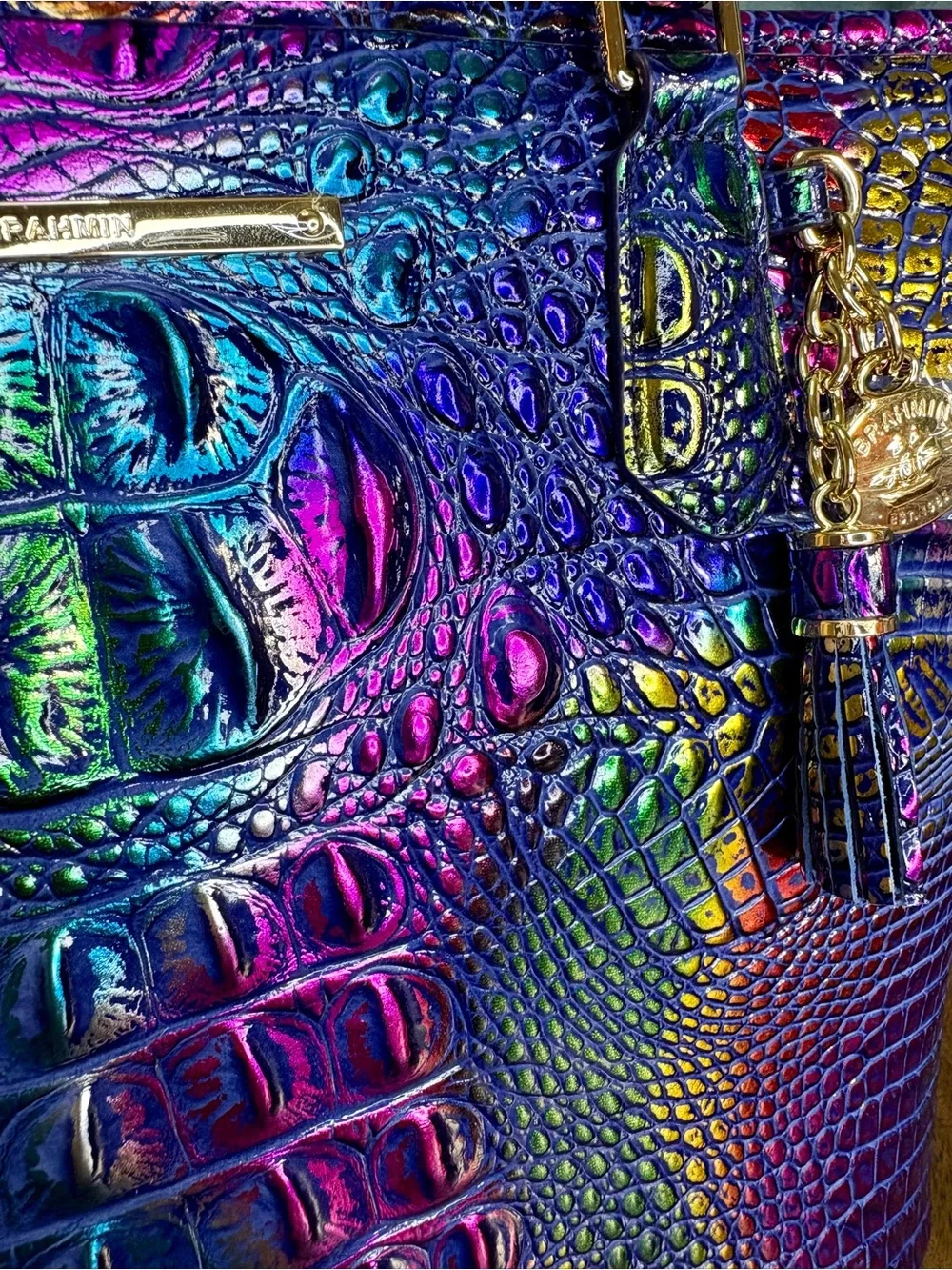 Brahmin NWT Md Asher - Spotlight - Metallic Rainbow - Front EYE - Rare, HTF